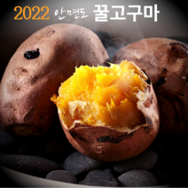 2022 안면도 고구마, 꿀고구마5kg(중상혼합)