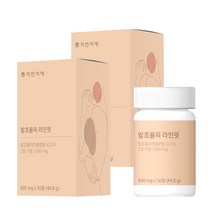자연지애 발효율피 라인핏 800mg x 56정, 2개
