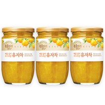 복음자리 유자차 480g 3병 외(모과 생강 대추 배도라지 민트유자 생강레몬 쌍화유자), 유자차480g+모과차480g+배도라지