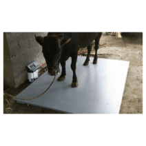 울타리 가축 전자 계근대 산업용 대형 저울 계근기, 1 x 2 미터 03 톤 소 권장 무게