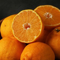 이제주몰 한섬누리 서귀포올레 한라봉 가정용 2kg(9-13과), 단품없음