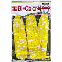 백초당 얼룩이초당 옥수수씨앗 100립