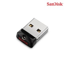 (SanDisk USB 핏 (Fit) Z33 (16GB/블랙 (CZ33-016G-G35 블랙, 1