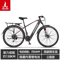 29인치 리튬 배터리 전기 자전거 크로스 컨트리 산악 자전거, F21단65km