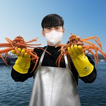 대게포크 증정 [오픈씨마켓] 선주직송 살이 꽉찬 100% 국산 포항 구룡포 자숙 대게 수율보장 (명품/박달), 국산 명품대게(중) 9 - 9.9cm 3마리