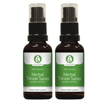 키위허브(KIWIHERB) 키위허브 허벌 쓰로트 (목) 스프레이 30ml X 2개, 60ml, 1세트