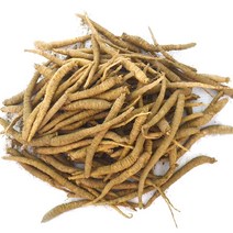가정용 횡성더덕(하)1kg /반찬용, 1개