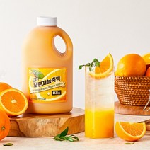 흥국F&B 오렌지농축액 플러스 1.5L, 아이스박스