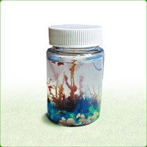 화학정원 만들기(10인용), 상세페이지 참조