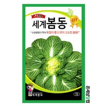 세계봄동배추 20g / 배추씨 배추씨앗 봄동배추씨앗, 1개