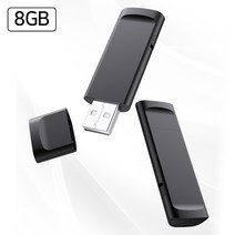 리쌍떼 초소형 초경량 장시간 USB녹음기 USB-Recorder, 8G, 8G