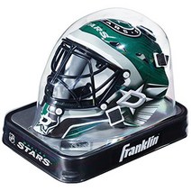Franklin Sports Dallas Stars NHL Team Logo Mini Hockey Goalie Mask with Case - Collectible Goalie Ma, 1