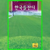 한국 들잔디씨앗 15g 잔디씨 종자, 1개