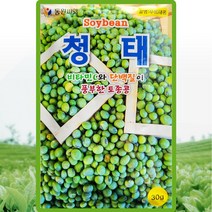 청태콩 씨앗 푸르대콩 씨 종자 30g, 1개
