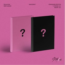 개봉앨범 포토카드 없음 | 스트레이 키즈 (Stray Kids) - 미니앨범 MAXIDENT T-CRUSH ver