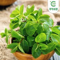온도씨 가락시장 허브 10g 모음전(딜 로즈마리 타임 애플민트 外), 처빌 10g
