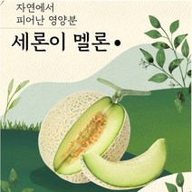 GAP 나주 세지 메론 세론이 멜론 정품 11~13brx, 노랑박스(13브릭스)3수크기2통 3.32kg