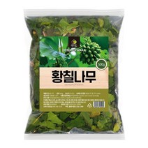 국산 국내산 황칠나무 500g 건강 한방 차 티 tea 음료, 1개