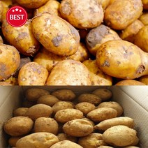 2023년 강원도 고랭지 햇 설봉감자 특상 사이즈 5kg 10kg 20kg 포근포근감자 강원도설봉감자 감자5키로 10키로 20키로 포근포근 설봉감자, 설봉감자 특 10kg