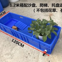 거북이어항 수조 페닌슐라쿠터 리버 커먼머스크터틀 레이저백 청거북 팩맨개구리 반수생키우기, 긴 새 120x40x23 cm 블루, 단일사이즈