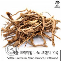 세틀 프리미엄 나노 브런치 유목 잔가지 유목