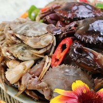 여수돌게장 간장게장 2.5kg 곽진영 돌게장 게장, 1개