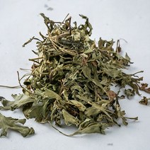 봉래 국산 구절초 구일초 선모초 100g/한방/건강/약초/약재 식품 > 건강식품 전통건강식품 기타전통건강식품/한방재료, 100g, 1″ class=”wr-img”></a></div></p></div></p></div></p></div><div class=