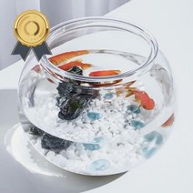 플라스틱 둥근 어항 원형 구피 베타 키우기 알비노폴레드구피, 플라스어항18X16cm
