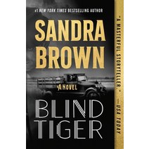 (영문도서) Blind Tiger Paperback, Grand Central Publishing, English, 9781538751978