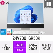 LG전자 24V70Q-GR50K 24인치 인텔 12세대 i5 Iris Xe Win11 Home 사무용 인강용 재택근무용 일체형 PC, 256GB, 32GB