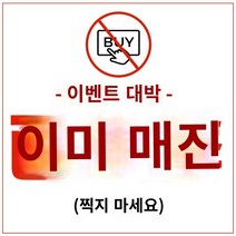 곰 오븐 가정용 전기 오븐 소형 대용량 40 리터 베이킹 특수 자동 미니 2023 신규, 파란색