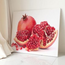 아트박스/꾸밈 ga687-캔버스액자72.7x53_풍수싱그러운석류, 1.금전