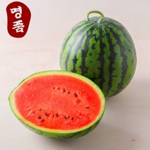[당도보장]프리미엄 고당도 제철 꿀 수박, 꿀수박 5~6kg내외(가정용), 1개