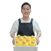 항공직송 스테비아급 고당도 프리미엄 로열사이즈 필리핀 카라바오 망고, 카라바오 망고/2kg/10입/200g내외