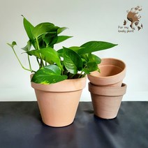 데로마 바소 23cm 27cm 이태리 토분 화분 고급 인테리어 토분, 그라파이트