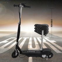 전동킥보드 24V킥보드 전동차 미니 대리운전 킥보드 통용 가능 J접이식 호버보드 바퀴두개 성인 자전거, C01-24V