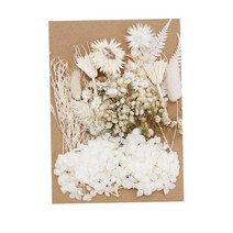 Royalways 1 세트 혼합 된 진짜 말린 꽃 마른 잎 diy 스크랩북 공예 카드 만들기 공예 책갈피 웨딩 전화 커버 쥬얼리, 5-12CM, 하얀