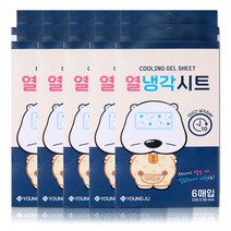 해호 곰탱이 열냉각시트 6매입, 10개