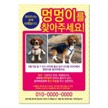 반려견찾기애완실종전단지 고양이 실종 강아지를찾아주세요 디자인무료, 샘플6, 50매