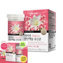 네츄럴플러스 에버핏 편안해 질 유산균 다이어트유산균 면역력영양제 임산부유산균