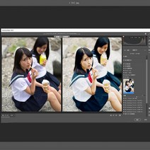 북스캔 책 스캐너 책자 스캔기 LR 필름 사전 설정 SP-3000 프로필 레트로 PS/ACR