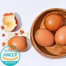 HACCP 인증 구운계란 훈제란 맥반석 구운란, 대란 / 300구 + 소금 10봉