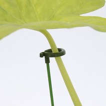 식물지지대 화초 지주대, 58cm
