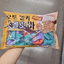 델리스 오트 밀키 미니 초콜릿바 600g
