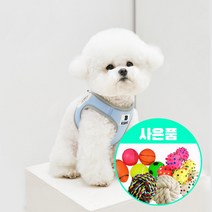 베니즈 베이직 강아지 하네스   리드줄 1.5m   증정 장난감 1개, M, 스카이블루