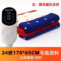 트럭 차박전기매트 12v매트 캠핑전기장판 온열매트, 24V 길이 170cmx65cm, 24V 길이 170cmx65cm