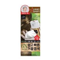 AP 미쟝센 쉽고빠른 거품 염색약 6N 밝은갈색/새치