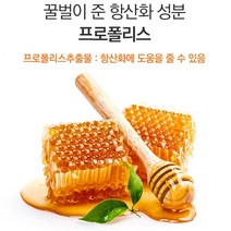 프로폴리스 아연 세포보호 면역기능 향상 플라보노이드 식약처인증 꿀벌 항산화 도움 캐나다 생산 완제품 직수입, 기본 3개월분