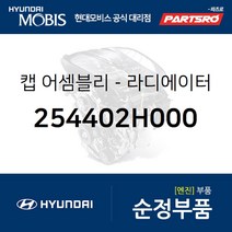 라디에이터 캡 리저버 (254402H000) 아반떼HD i30 I30/I30CW