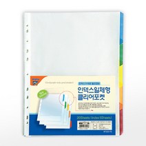 알파 클리어화일내지 5분류 A4 (20매)